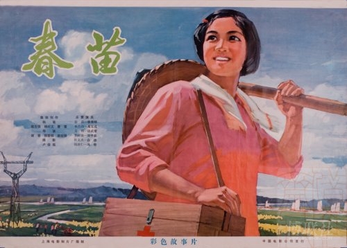 网络教育本科有没有学位证书